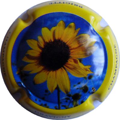 N°02 Série de 6 (Fleurs) contour jaune
Photo DAMIANI Bruno
