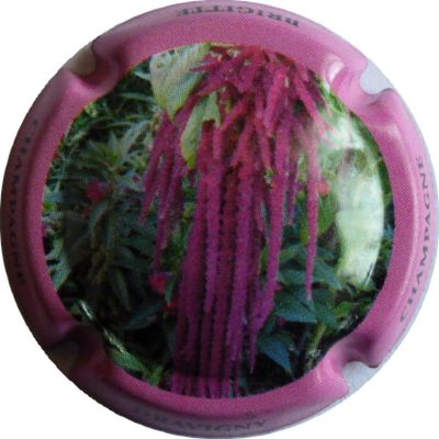 N°02 Série de 6 (Fleurs) contour rose
Photo DAMIANI Bruno
