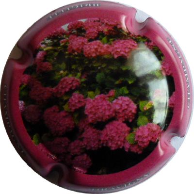 N°02 Série de 6 (Fleurs) contour rouge
Photo DAMIANI Bruno
