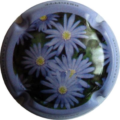 N°02 Série de 6 (Fleurs) contour bleu pâle
Photo DAMIANI Bruno
