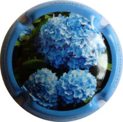 N°02 Série de 6 (Fleurs) contour bleu
Photo DAMIANI Bruno
