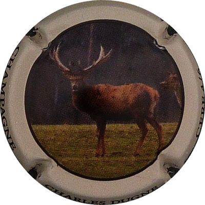 N°08 Cerf
Photo BENEZETH Louis
