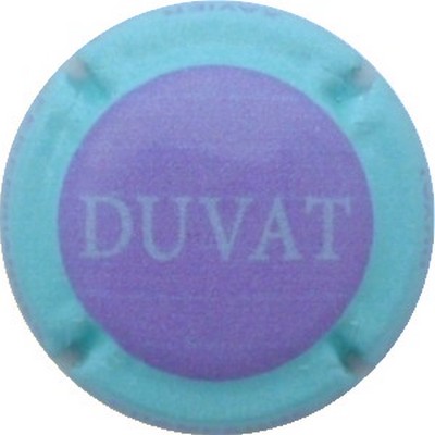 N°14d Violine, contour bleu pâle
Photo J.R.
