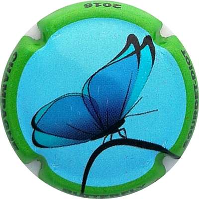 N°21 Série de 6 (papillon), fond bleu clair, contour vert
Photo Gérard T

