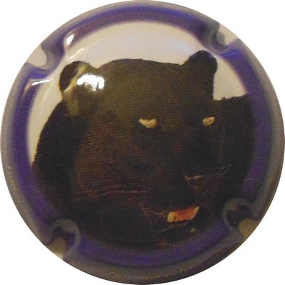 N°06x-NR Série de 2 (panthères), contour bleu
PHoto LE FAUCHEUR Alexandre
Mots-clés: NR