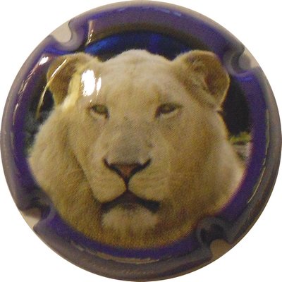 N°04 Série de 4 (lions), contour bleu
PHoto LE FAUCHEUR Alexandre
