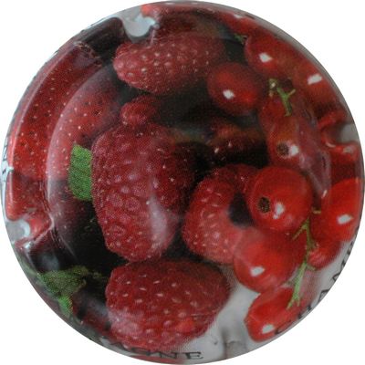 N°0870c Les fruits rouges
Photo GOURAUD Jacques
