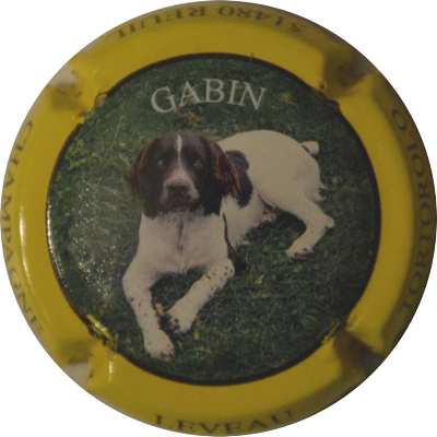 N°01 Série de 4 (chien GABIN) contour jaune
Photo LE FAUCHEUR Alexandre
