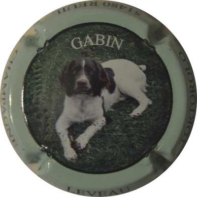 N°01 Série de 4 (chien GABIN) contour vert pâle
Photo LE FAUCHEUR Alexandre
