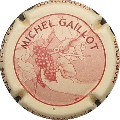 N°0705 GAILLOT MICHEL
Photo BENEZETH Louis
