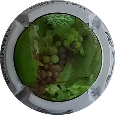 N°07 Grappe
Photo Christophe LELU
