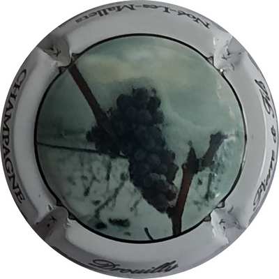 N°07a Vigne en hiver
Photo Christophe LELU
