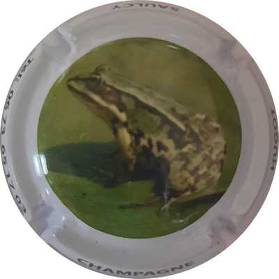 N°03 Grenouille, contour blanc
Photo Joan MACKINTOSH
