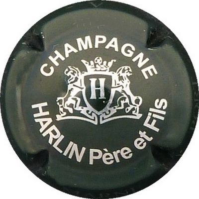 N°05 Vert-noir et métal
Photo BENEZETH Louis
