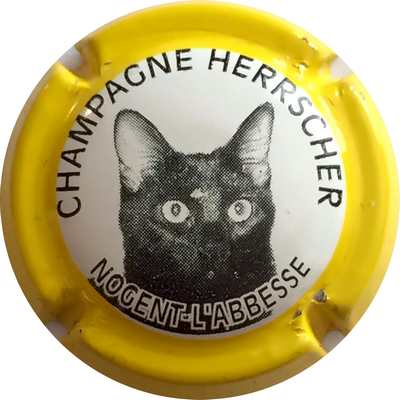 N°04 Série de 6 (chat) Contour jaune
Photo Nadia KUUS
