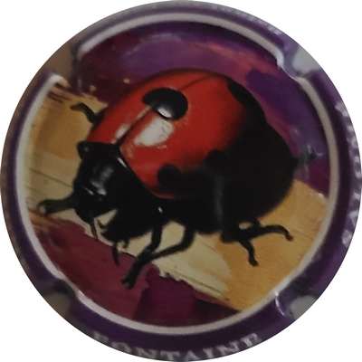 N°NR Série coccinelle, Jéroboam
Photo Joëlle MENNERET
Mots-clés: NR