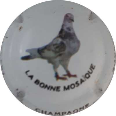 N°14 Série de 6 (pigeons) La bonne mosaique
Photo Patrick PLICHARD
