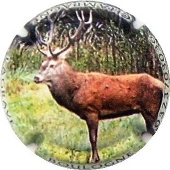 N°13a Le cerf
Photo BENEZETH Louis
