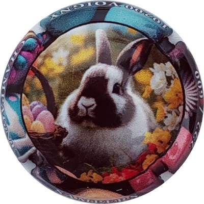 N°NR Lapin, 600 expl
Photo Christophe LELU
Mots-clés: NR