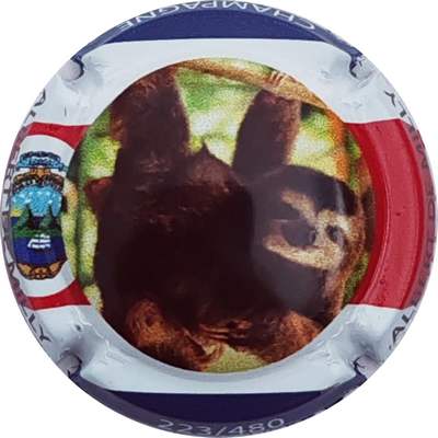 N°111a Le paresseux
Photo Christophe LELU
