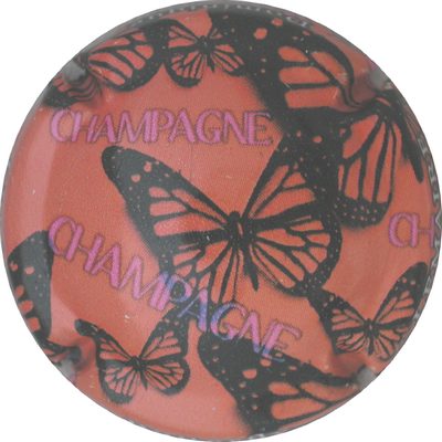 N°09c Papillons, fond orange
Photo GOURAUD Jacques
