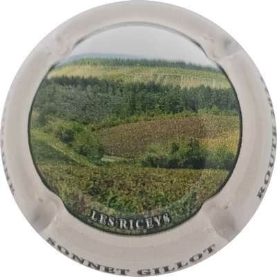 N°NR Route 2025, Les Riceys, 12 sur 12
Photo Joëlle MENNERET
Mots-clés: NR