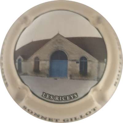 N°NR Route 2025, Les Riceys, 04 sur 12
Photo Joëlle MENNERET
Mots-clés: NR