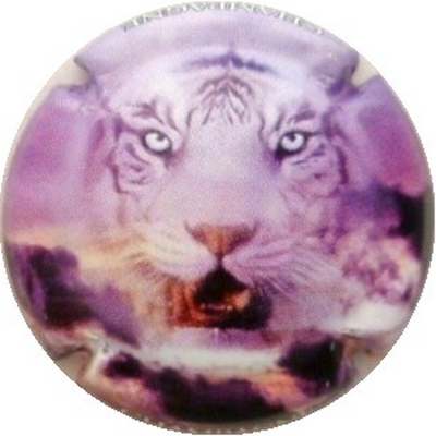 C39 Lion, série de 2
Photo J.R.
