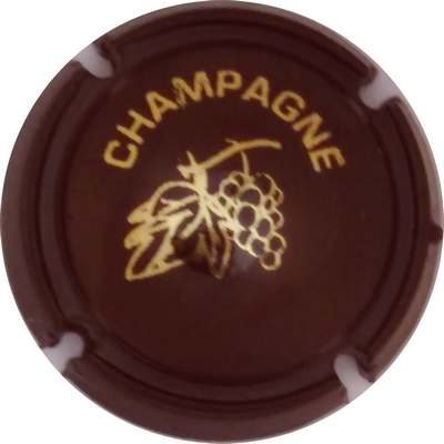 C18 Grappe et feuille, opalis marron
Photo Jacky MICHEL
