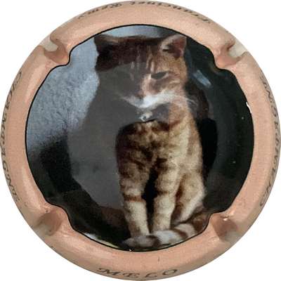 N°NR Chat Melo, contour saumon
Photo Bruno HEBMANN GONTIER
Mots-clés: NR