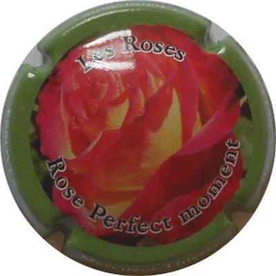 N°09e Rose Perfect moment 
Photo LE FAUCHEUR Alexandre
