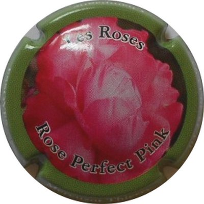 N°09b Rose Perfect Pink
Photo LE FAUCHEUR Alexandre
