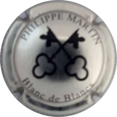 N°06b Métal et noir, blanc de blancs
