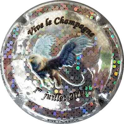 N°05c Métal pailleté
Photo Paul COSPAR
