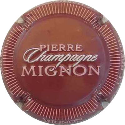 N°100g Estampée, framboise, striée blanc, champagne en blanc, Pierre Mignon en rose pâle
Photo THIERRY Jacques
