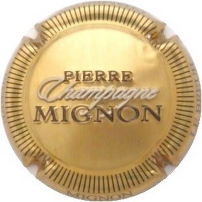 N°100e Or et blanc, striée noir, champagne en blanc, Pierre Mignon en noir
Photo J.R.
