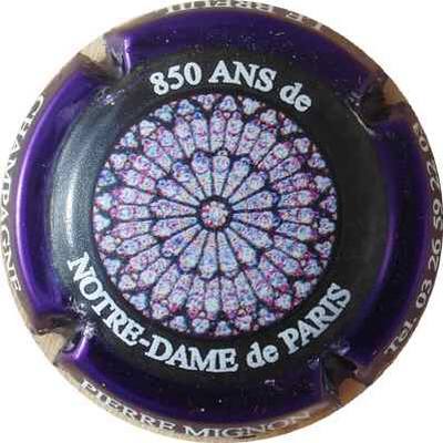 N°094 Contour violet foncé métallisé, 850 ans de Notre Dame de Paris
Photo THIERRY Jacques
