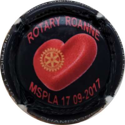N°197b Rotary Roanne, mspla 17-09-2017
Photo Philippe JOSSELIN
