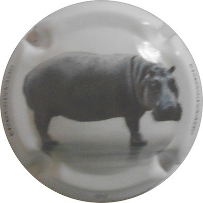 C29 N°11 L'HIPPOPOTAME
Photo LE FAUCHEUR Alexandre
