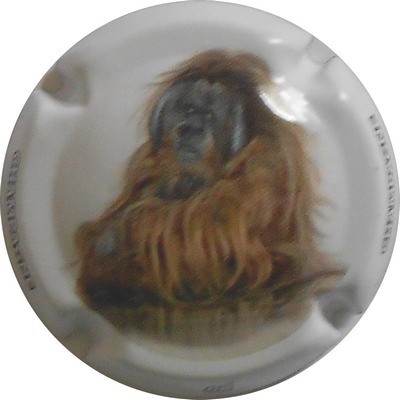 C29 N°08 L'ORANG-OUTAN
Photo LE FAUCHEUR Alexandre
