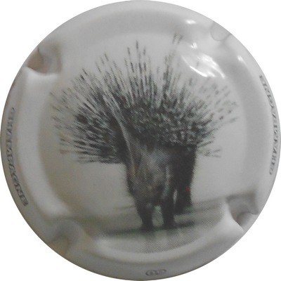 C29 N°09 LE PORC-EPIC
Photo LE FAUCHEUR Alexandre
