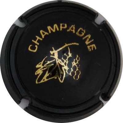 C18 Grappe et feuille, opalis noir
Photo Jacky MICHEL
