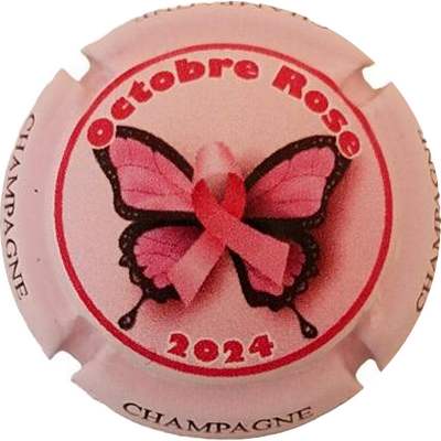C225  Cctobre Rose, 2024
Photo Jacky MICHEL
