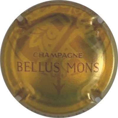 N°13 Cuvée Bellus Mons
Photo Dominique BUYCK
