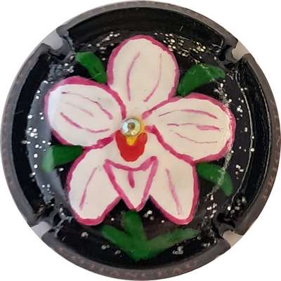 N°NR PALM Orchidée, fond noir, strass collé, 170 expl
Photo Barbouillix MAN
Mots-clés: NR