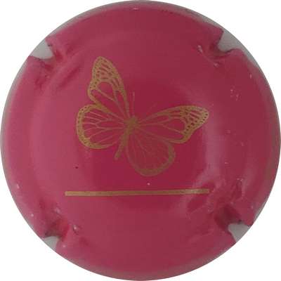 N°07a Rose, papillon or
Photo Joëlle MENNERET
