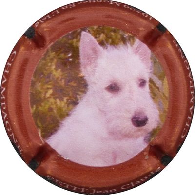 N°10 Fox terrier
Photo BENEZETH Louis
