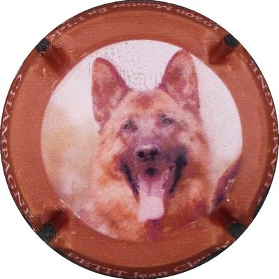 N°11 Berger Allemand
Photo BENEZETH Louis
