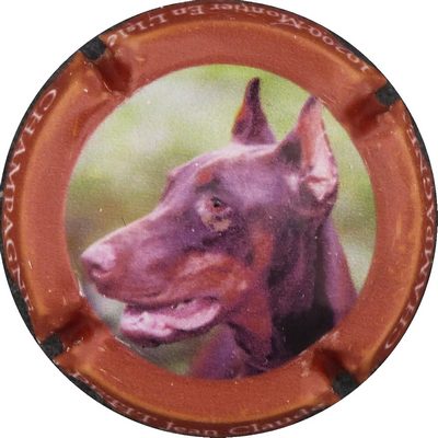 N°09 Doberman
Photo BENEZETH Louis
