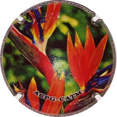 N°14c 05-06-2023, polychrome
Photo Christophe LELU
